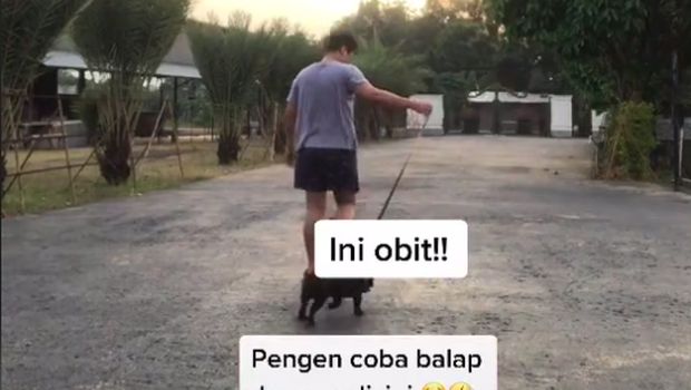 Viral TikTok
