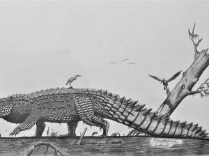 Buaya-buaya Raksasa Nenek Moyang Buaya Siluman