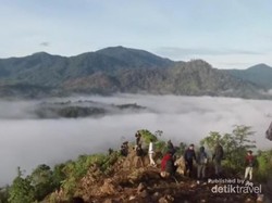 Ini Bukit Tabalo, Lagi Viral di Jambi