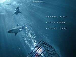 Sinopsis 47 Meters Down, Terjebak Bersama Hiu di Kedalaman Laut Sinopsis 47 Meters Down, Terjebak Bersama Hiu di Kedalaman Laut