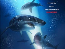 Sinopsis 47 Meters Down, Hadir di Bioskop Trans TV Hari Ini