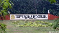 Universitas Indonesia Buka Prodi AI, Ini Matkul dan Guru Besarnya