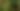 Foto: iStock
