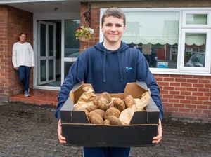 Jadi Tukang Antar Kentang, Remaja Ini Kantongi Rp 48 Juta