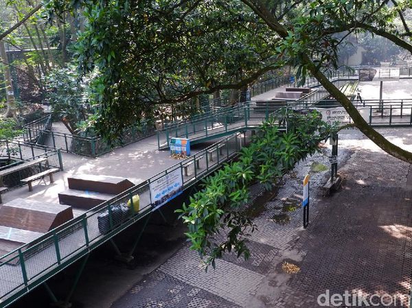 Lima Bulan Ditutup, Begini Kondisi Babakan Siliwangi Forest Walk