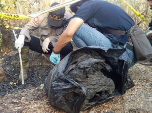 Kerangka Manusia di Hutan Baluran yang Terbakar Disebut Bukan Orang Gila Kerangka Manusia di Hutan Baluran yang Terbakar Disebut Bukan Orang Gila