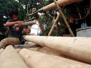Curhat Perajin Pohon Pinang di Tengah Pandemi Curhat Perajin Pohon Pinang di Tengah Pandemi