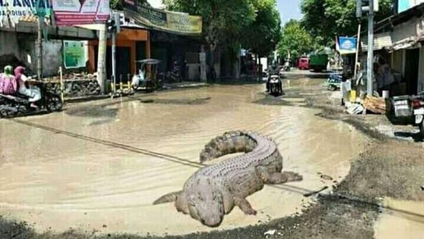 Foto jalan rusak di Rembang ini diedit menjadi sawah hingga kolam renang.