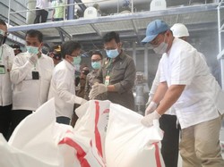 Ubi Kayu Bisa Jadi Sumber Ketahanan Pangan Dalam Negeri