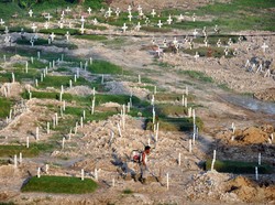 Kasus Corona Melejit, Pemerintah Ogah Undur Pilkada 2020