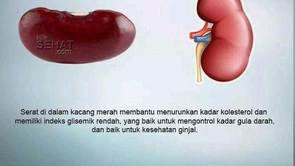 10 Makanan Ini Mirip Organ Tubuh Manusia, Manfaatnya Juga Hebat!
