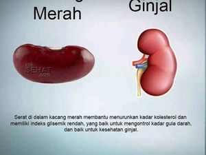 10 Makanan Ini Mirip Organ Tubuh Manusia, Manfaatnya Juga Hebat!