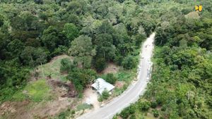 Tembus Hutan, Proyek Jalan Perbatasan RI-Malaysia Digeber Lagi