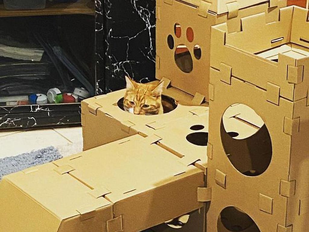 Gemasnya! Kumpulan Rumah Kucing Terbuat Dari Karton Gemasnya! Kumpulan Rumah Kucing Terbuat Dari Karton