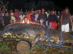 Kenalkan Lolong Buaya Terbesar di Dunia dengan Panjang 6,17 Meter