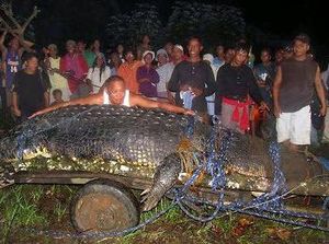Kenalkan Lolong Buaya Terbesar di Dunia dengan Panjang 6,17 Meter Kenalkan Lolong Buaya Terbesar di Dunia dengan Panjang 6,17 Meter