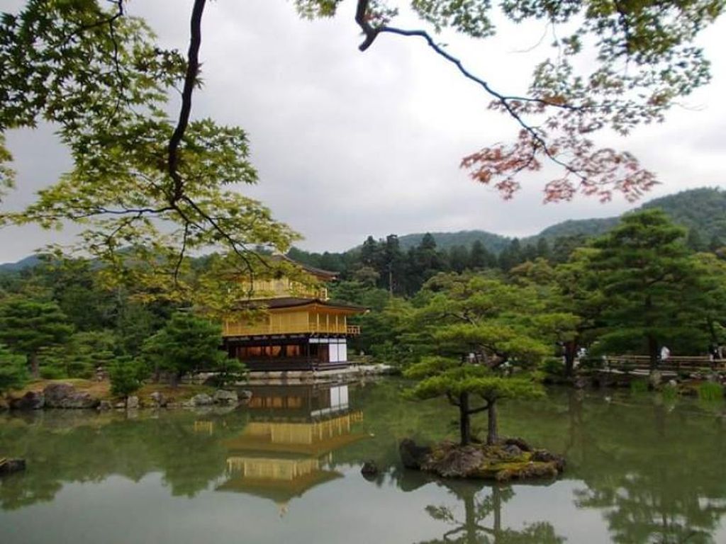 Kenangan Perjalanan ke Negeri Sakura Jepang Kenangan Perjalanan ke Negeri Sakura Jepang