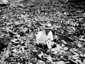 Bagaimana Jepang Membangun Pendidikannya Setelah Dibom Atom? Bagaimana Jepang Membangun Pendidikannya Setelah Dibom Atom?