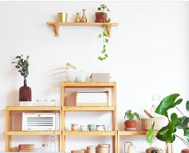 Nature holds the key to our aesthetic, intellectual, cognitive and even spiritual satisfaction.