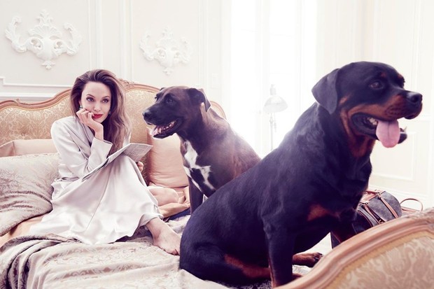 pemotretan Angelina Jolie untuk Elle