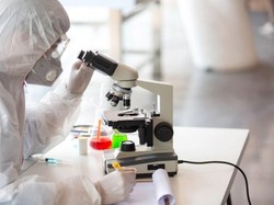 Jahe Merah Direncanakan Akan Diuji Klinis Sebagai Immunomodulator