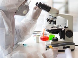 Jahe Merah Direncanakan Akan Diuji Klinis Sebagai Immunomodulator