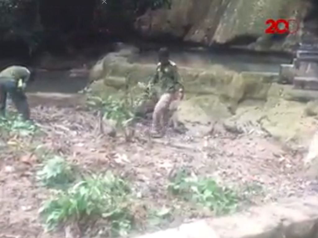 Penampakan Air Terjun Tirta Rimba Buton Panen Sampah Penampakan Air Terjun Tirta Rimba Buton Panen Sampah