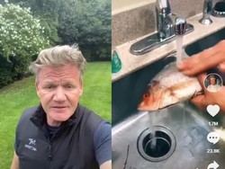 Gordon Ramsay Beri Kritik Pedas untuk Tutorial Masak di TikTok, Apa Katanya?