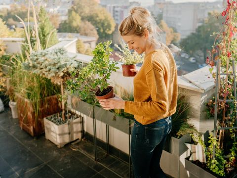 Photo of young woman taking care of her plants on a rooftop garden