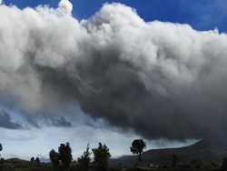 Erupsi Gunung Sinabung Bikin Ribuan Hektare Kebun Warga Rusak Berat