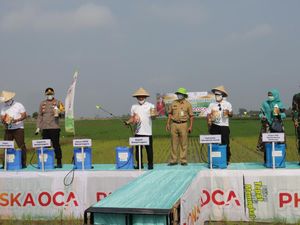 Petrokimia Semprot Massal Pupuk ke Lahan Budidaya di Banjarnegara