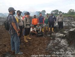 Pria di Riau Ditangkap Bakar Lahan, 1 Parang-1 Ranting Kayu Diamankan