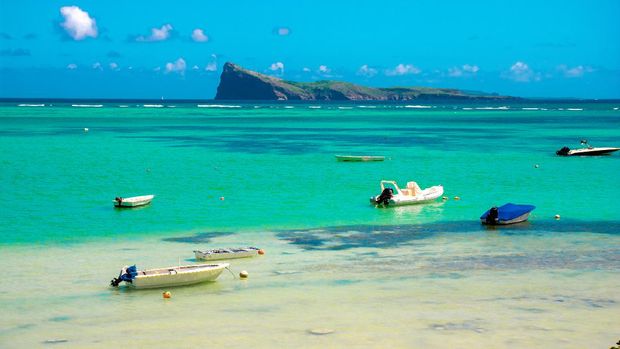 BAIN BOEUF Mauriutius. Beautiful beach in northern Mauritius. Coin de Mire, white sand beach among Palm trees.