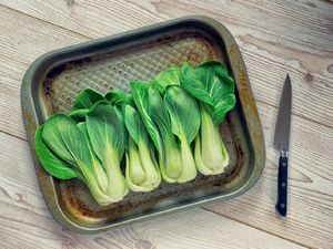 5 Manfaat Pakcoy untuk Kesehatan, Dukung Kekuatan Tulang-Berat Badan Ideal 5 Manfaat Pakcoy untuk Kesehatan, Dukung Kekuatan Tulang-Berat Badan Ideal