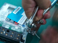 Ini Penjelasan PLN soal Warga Bayar Pakai Domba untuk Ganti kWh Rusak