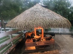 Mengintip Kawasan Peternakan di Eco Green Park Batu