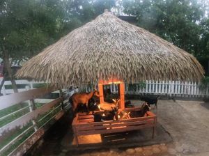 Mengintip Kawasan Peternakan di Eco Green Park Batu Mengintip Kawasan Peternakan di Eco Green Park Batu