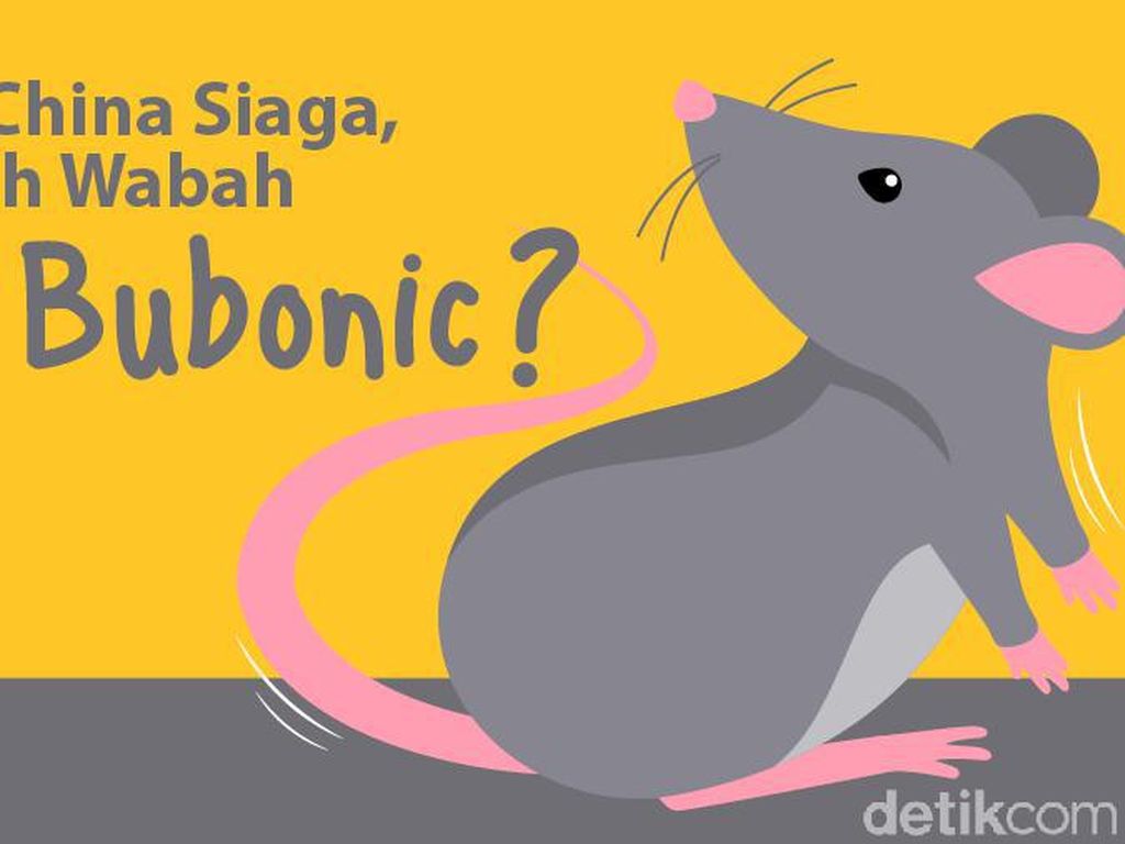 Pes Bubonic Hantui China di Tengah Pandemi Corona, Penyakit Apa Itu? Pes Bubonic Hantui China di Tengah Pandemi Corona, Penyakit Apa Itu?