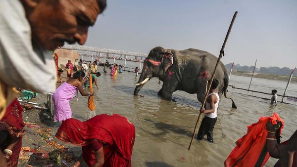Potret Kehidupan dan Ancaman Lingkungan di Sungai Gangga