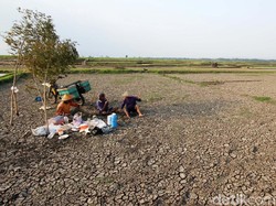 Sejarah Perantau Wonogiri, Ogah Bertani di Lahan Gersang