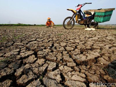 Potret Kekeringan di Waduk Gajah Mungkur