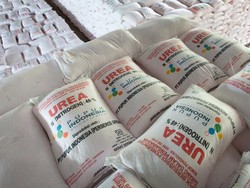 Masuk Agustus, 5,4 Juta Ton Pupuk Bersubsidi Telah Disalurkan