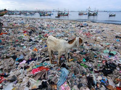 Ih Jorok, Sampah Menumpuk di Bibir Pantai Banyuwangi