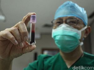 Divaksin atau Infeksi Alami? Ini Kelompok yang Punya Banyak Antibodi COVID Divaksin atau Infeksi Alami? Ini Kelompok yang Punya Banyak Antibodi COVID