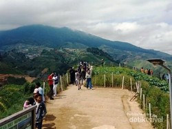 Traveler Siap? Ini Bukit Panyaweuyan di Majalengka