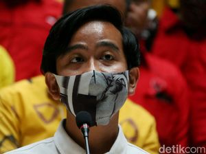 Bajo Maju di Pilkada Solo, Gibran: Tak Bisa Diremehkan Bajo Maju di Pilkada Solo, Gibran: Tak Bisa Diremehkan