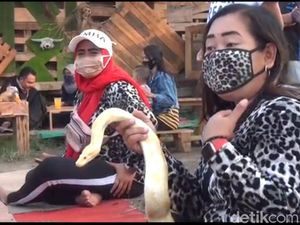 Di Kafe Ini Bisa Minum Wedang Jahe Ditemani Buaya Muara