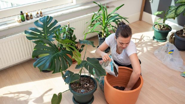 Woman taking care of plants at home