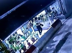 Alamak! Maling di Medan Curi Tanaman Milik Warga dalam Pot