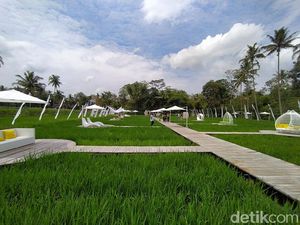 SvargaBumi, Persawahan Keren di Dekat Candi Borobudur
